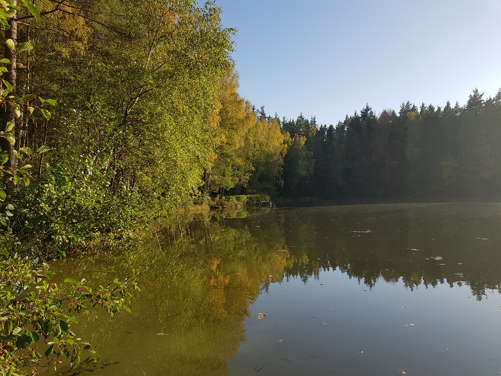 lyrik waldsee